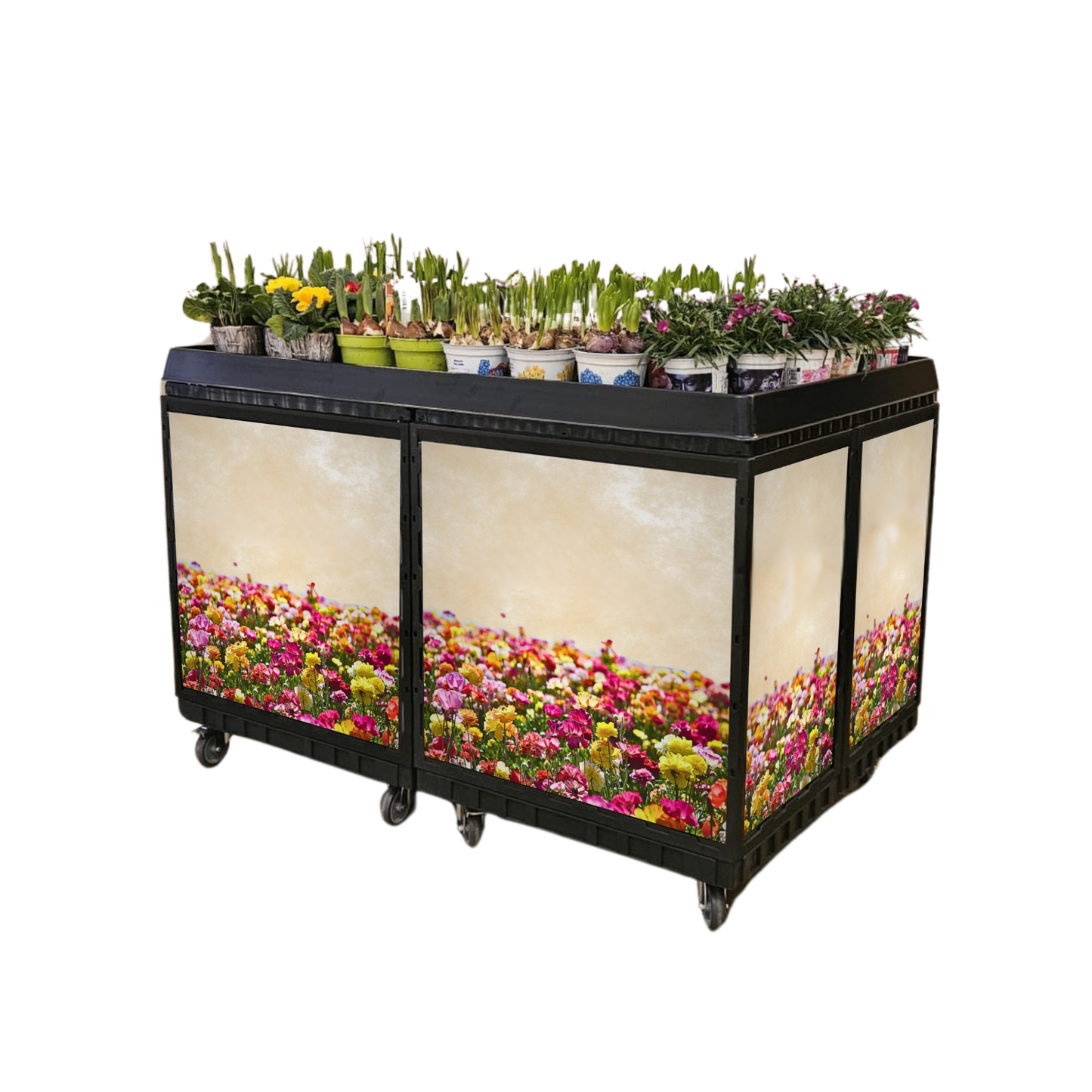 Blumeninsel 120x80 cm 4er Komplettset inkl. Marketing  auf Rollen