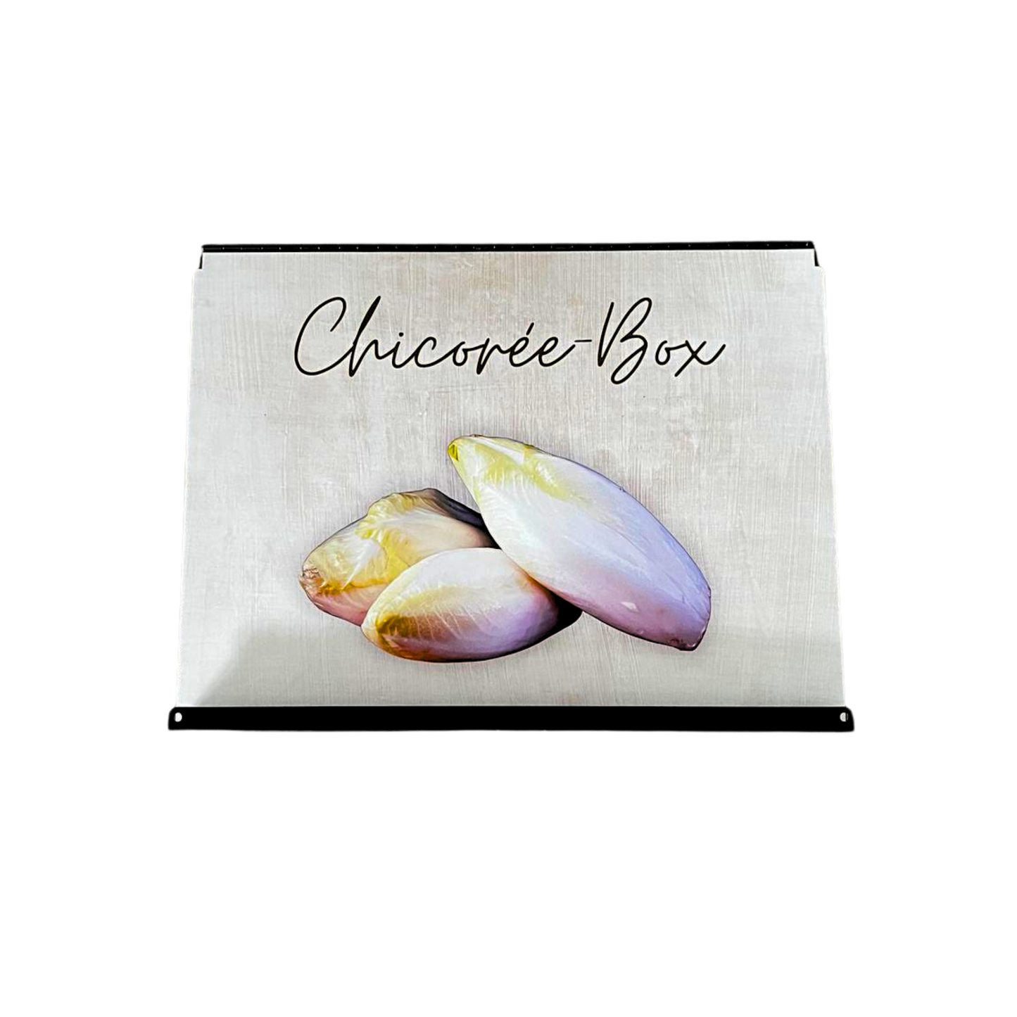Chicorée-Box, inkl. Motiv Gelb (quer), für 40x30x16 cm