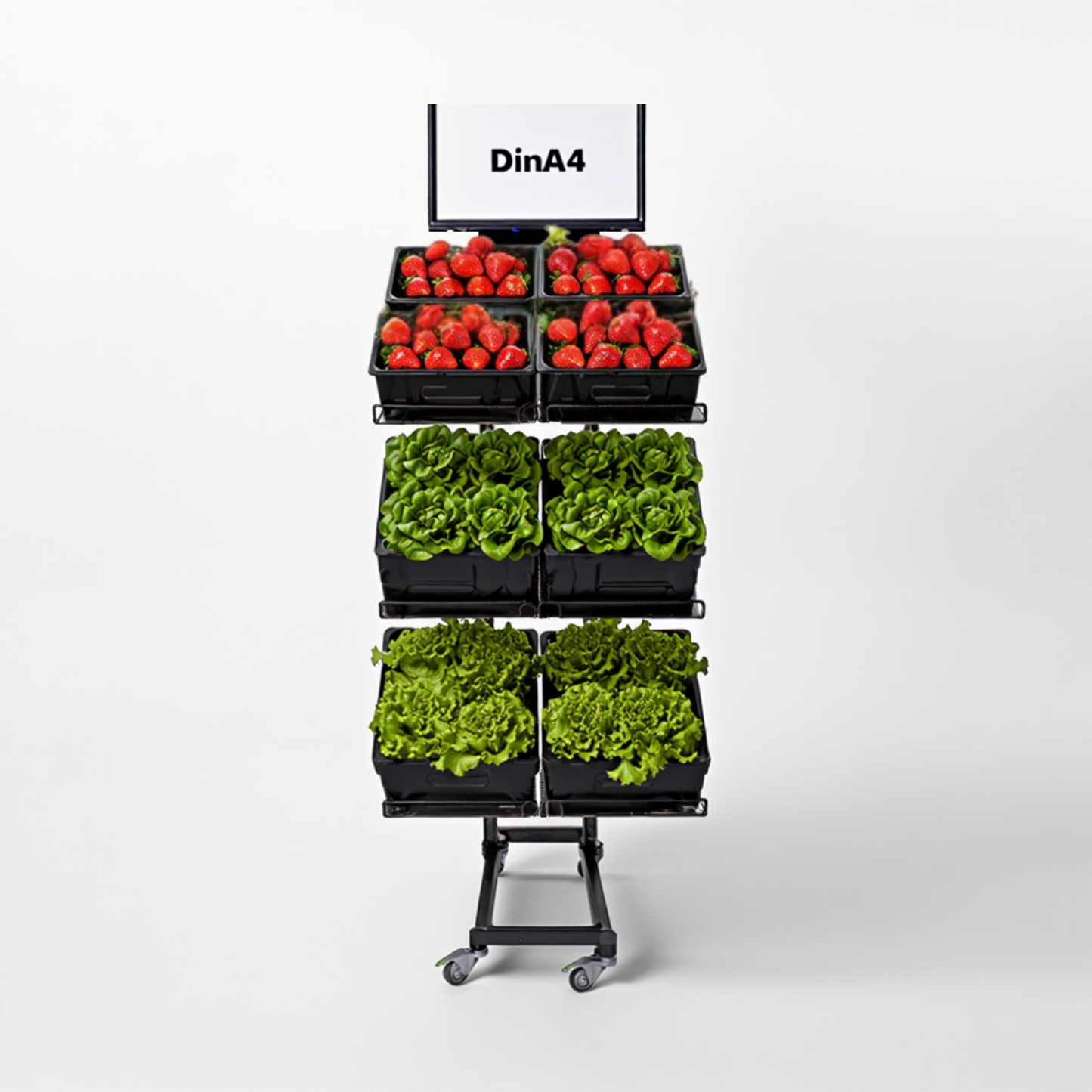 Mobiler Metall Verkaufsständer Variant 3er, Obst und Gemüse