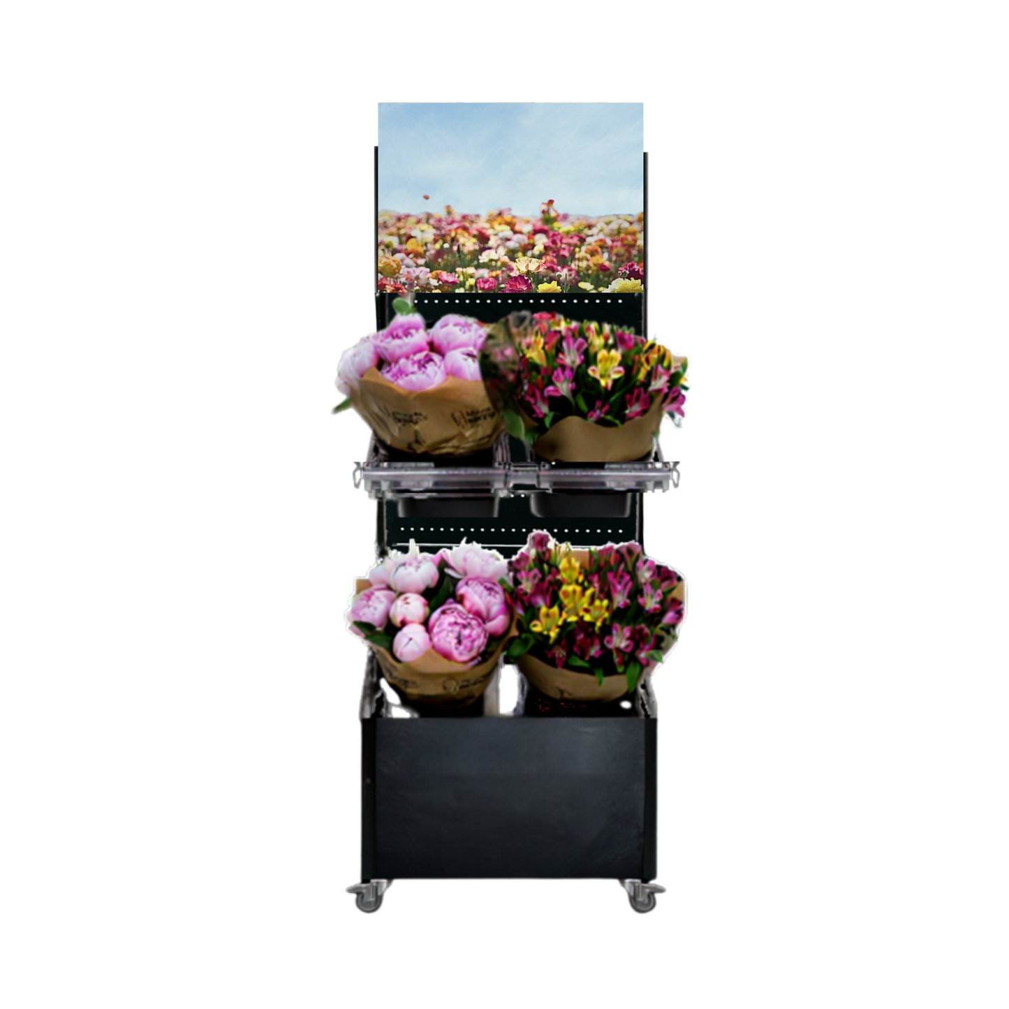 Mobiler Verkaufsständer Concept Schnittblumen (für niedrige Gondelköpfe)